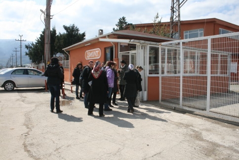 Kültür Elçileri İlçemize Veda Etti