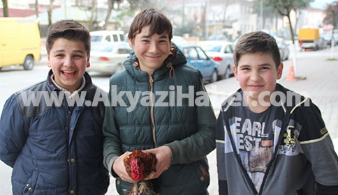 3 Kafadarın ANA YOLDA Horoz Avı 