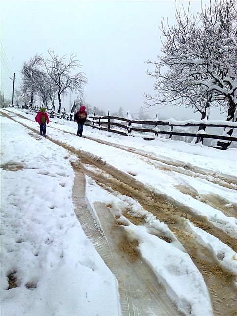 Nisan Yağmuru Değil Nisan Karı Yağdı