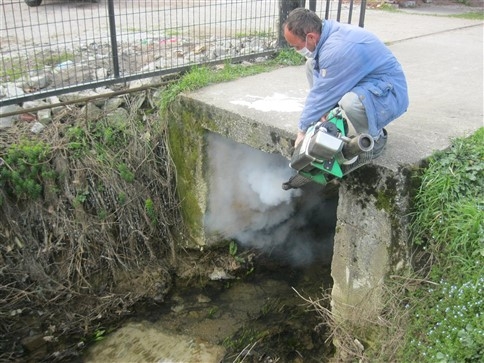 Sinek,  Böcek Ve Haşarat Mücadelesinde Hız Kesilmiyor