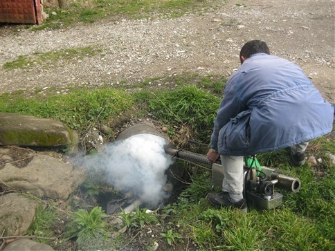 Sinek,  Böcek Ve Haşarat Mücadelesinde Hız Kesilmiyor