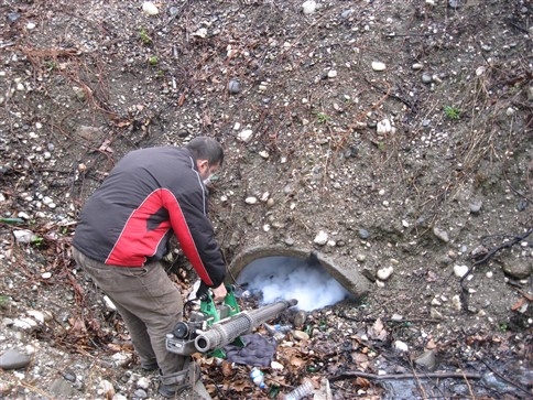 Sinek,  Böcek Ve Haşarat Mücadelesinde Hız Kesilmiyor