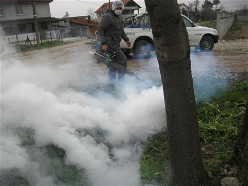 Sinek,  Böcek Ve Haşarat Mücadelesinde Hız Kesilmiyor