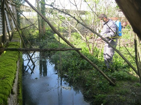 Sinek,  Böcek Ve Haşarat Mücadelesinde Hız Kesilmiyor