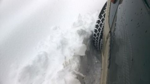 Nisan Ayında Yağan Kar Ormanda Mahsur Bıraktı