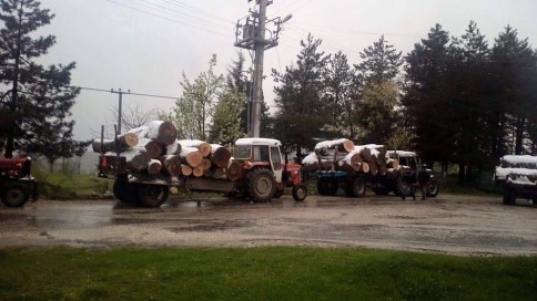 Nisan Ayında Yağan Kar Ormanda Mahsur Bıraktı