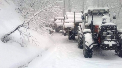 Nisan Ayında Yağan Kar Ormanda Mahsur Bıraktı
