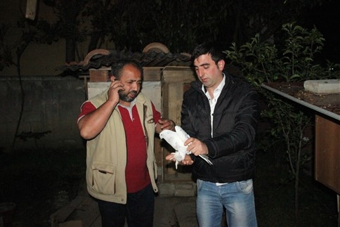 Başkanın Kuşlarını Çaldılar  