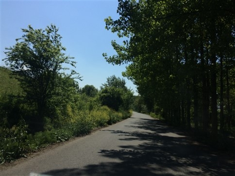 Kontrolünü Kaybedince Ters Döndü 