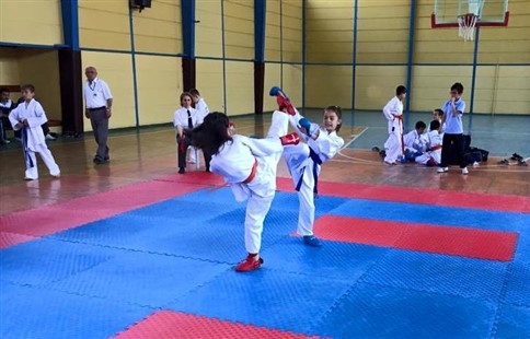 Madalya İçin Ter Döktüler