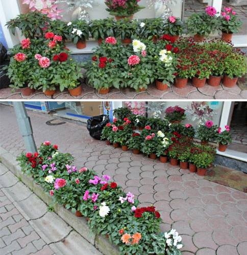 Annelerin Mutluluğu Her Şeye Değer