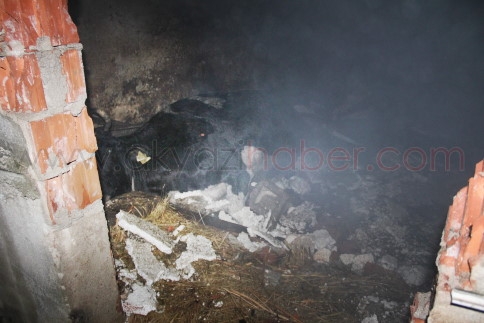 Akyazı'da Tavuk çiftliğinde yangın