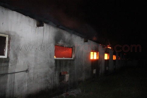 Akyazı'da Tavuk çiftliğinde yangın