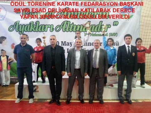 Akyazılı Karateciler Çok Oluyorlar Artık