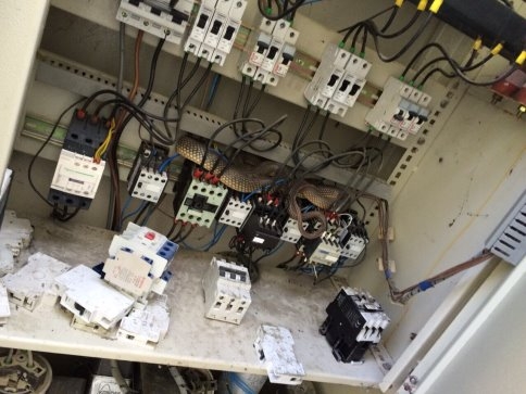 Trafo'dan 2 Metrelik Yılan Çıktı 