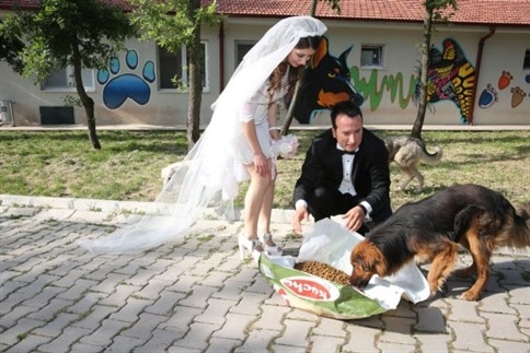 Nikah Şekeri Yerine Köpek Maması! 