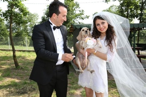 Nikah Şekeri Yerine Köpek Maması! 