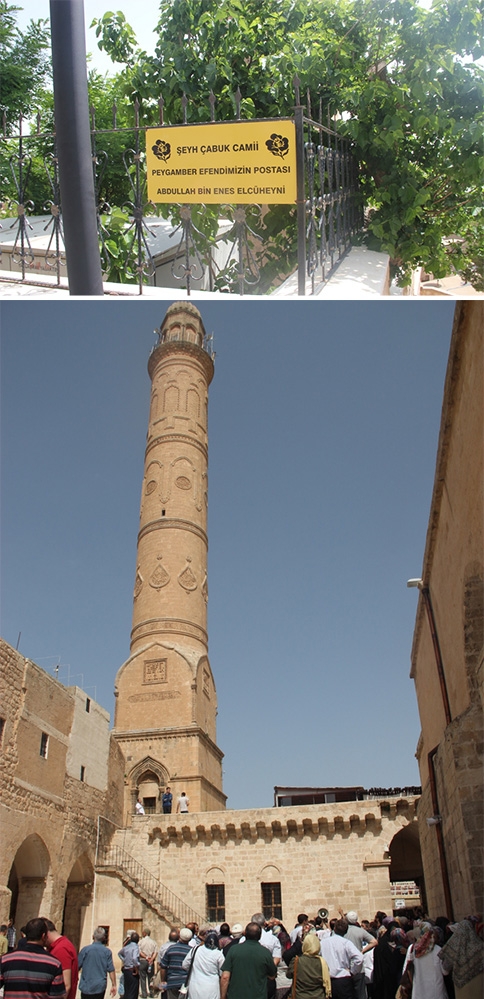 Akyazı İlçe Müftülüğünden  Dini –Tarihi Ve Kültürel Değeri Olan Yerlere Gezi Düzenlendi