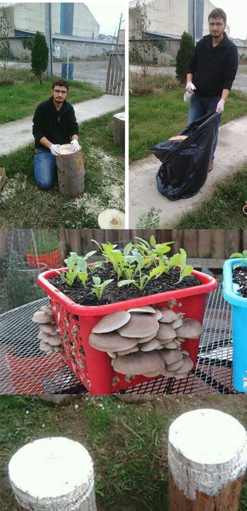 Uygulamalı İstiridye Mantarı Semineri !