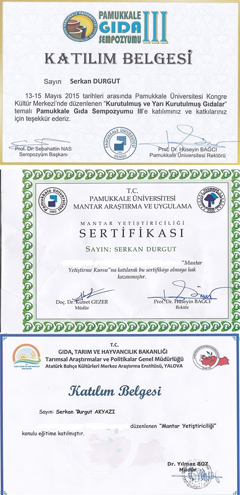 Uygulamalı İstiridye Mantarı Semineri !