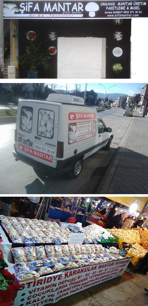 Uygulamalı İstiridye Mantarı Semineri !