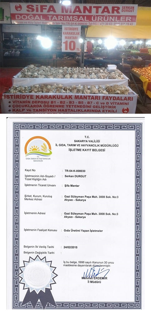 Uygulamalı İstiridye Mantarı Semineri !