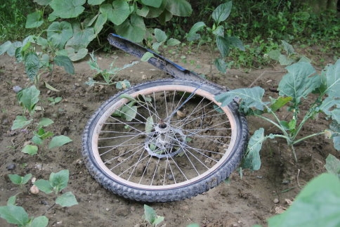 Yaralı Çocuk 1 Saat Sonra Fark edildi