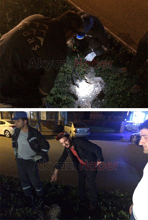 Yoldan Karşıya Geçerken Elektrik Çarptı