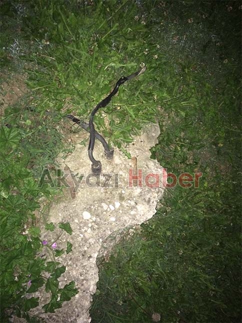 Yoldan Karşıya Geçerken Elektrik Çarptı