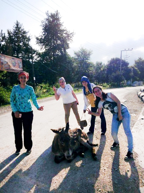 Maheye İnen Eşşek İlgi Çekiyor