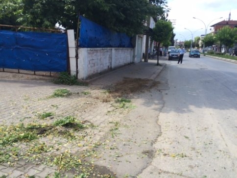 Kamyonet Kaldırımda ki Ağaça Çarptı