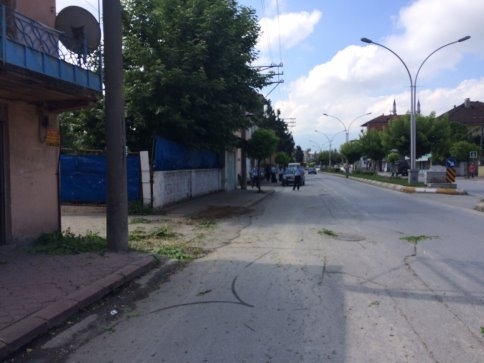 Kamyonet Kaldırımda ki Ağaça Çarptı