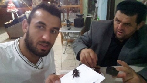 90 Bin Dolarlık Böcek Asılsız Çıktı