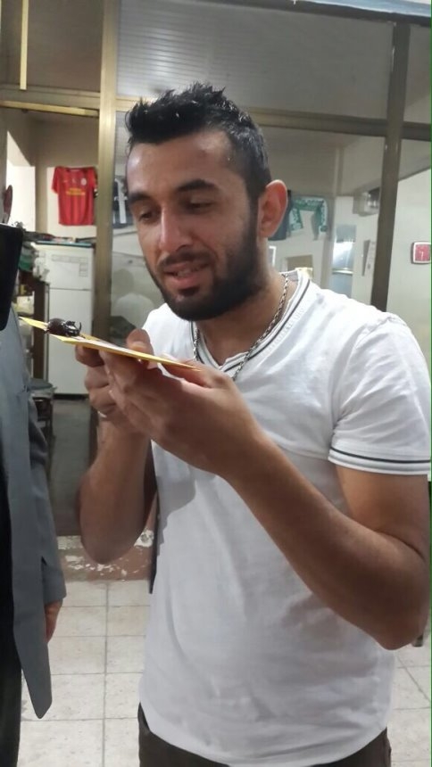 90 Bin Dolarlık Böcek Asılsız Çıktı