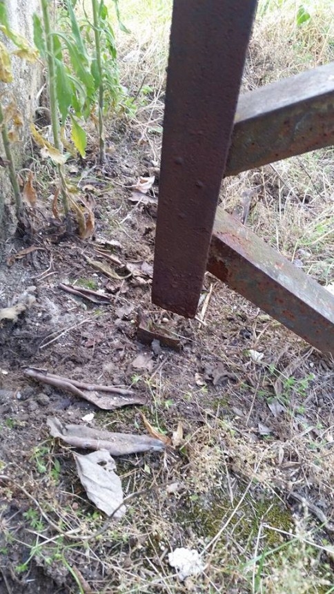 Ölü Direk Tehlike Saçıyor