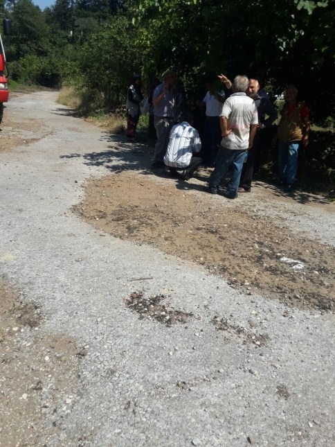 Ot Yakayım Derken Ormanı Kül Edecekti