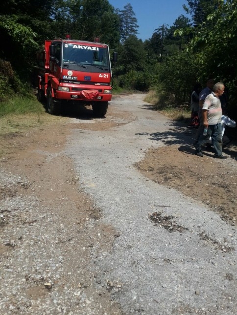 Ot Yakayım Derken Ormanı Kül Edecekti