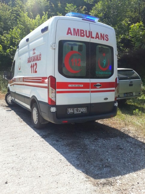 Ot Yakayım Derken Ormanı Kül Edecekti