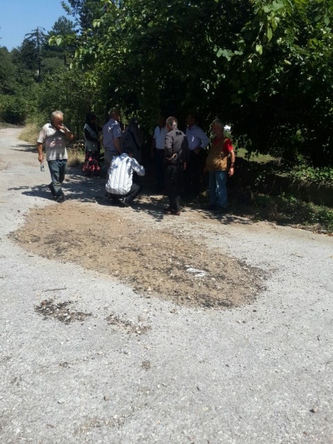 Ot Yakayım Derken Ormanı Kül Edecekti