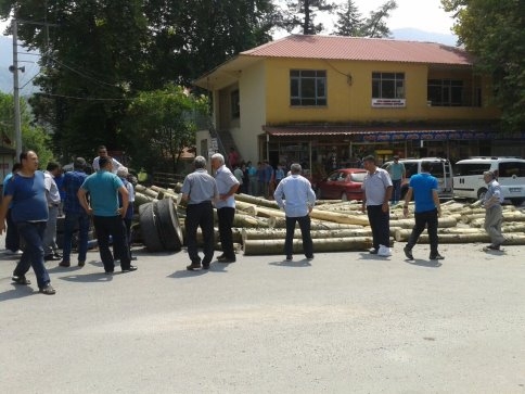 Tomruk Yüklü Traktörün Dingili Kırıldı
