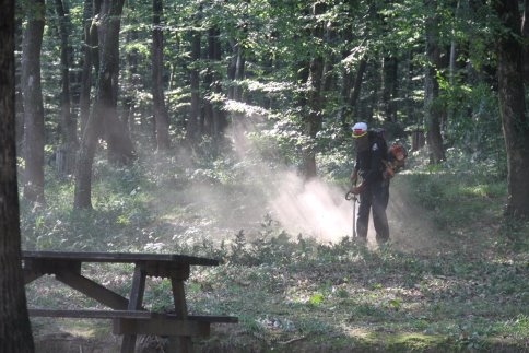 Akyazı Belediyesi Fen İşlerinden Yaz’ın Sıcaklarında Yoğun Mesai