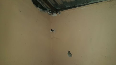 Kuzuluk'ta Tuvaletler Pislik  İçinde