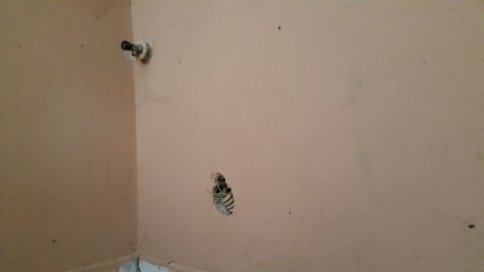 Kuzuluk'ta Tuvaletler Pislik  İçinde