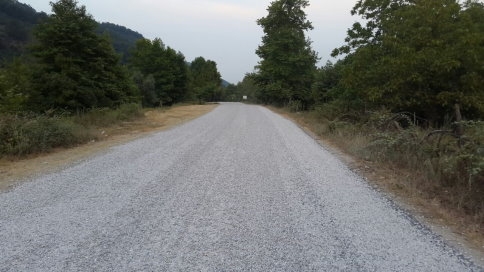 Taşburun Öksüz mü ?