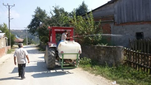Akyazı Belediyesi Kavak Güvesi İle Mücadele Ediyor