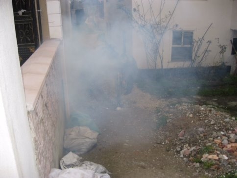 Akyazı Belediyesi Kavak Güvesi İle Mücadele Ediyor