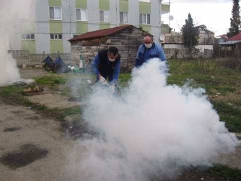 Akyazı Belediyesi Kavak Güvesi İle Mücadele Ediyor