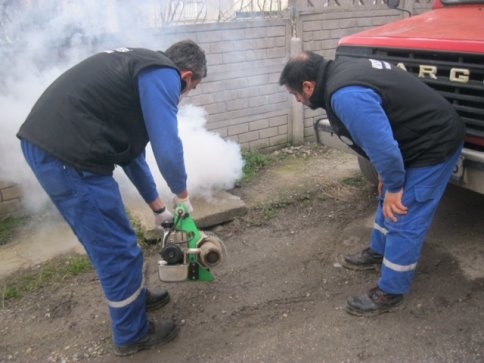 Akyazı Belediyesi Kavak Güvesi İle Mücadele Ediyor