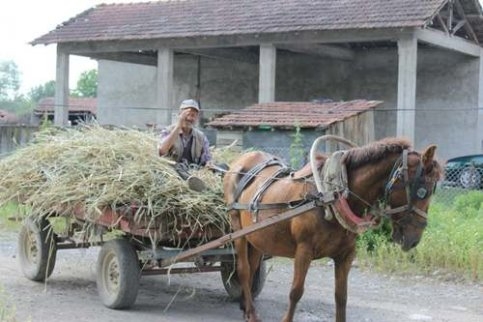 Uzunçınar’ın kitabı yazılacak