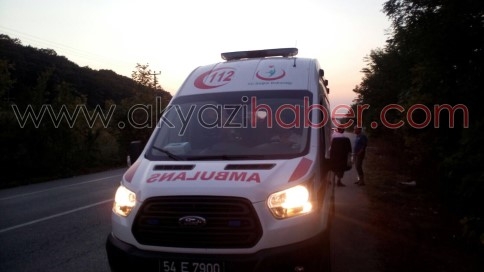 Motosikletle Köpeğe Çarptı 1 Yaralı